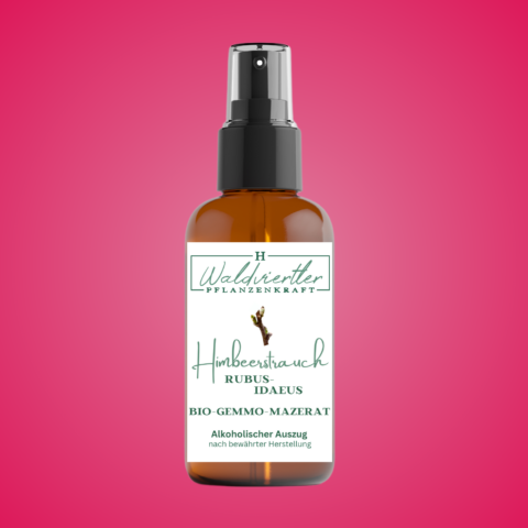 Gemmomazerate Himbeerstrauch