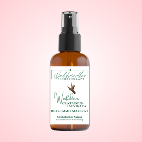 Gemmomazerate Weißdorn